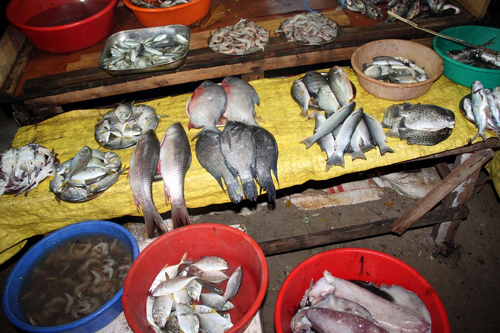 Fischmarkt Kochi / Cochin